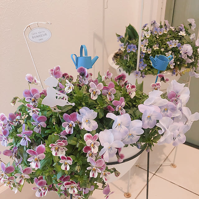 chisaさんの実例写真