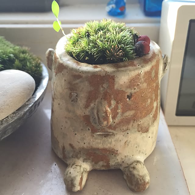 chaiさんの実例写真