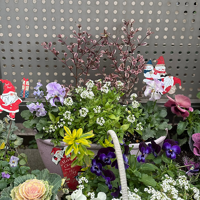 maayaさんの部屋