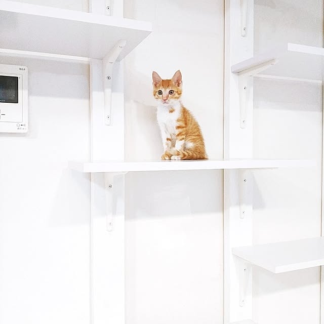 kirakirahikaruさんの実例写真