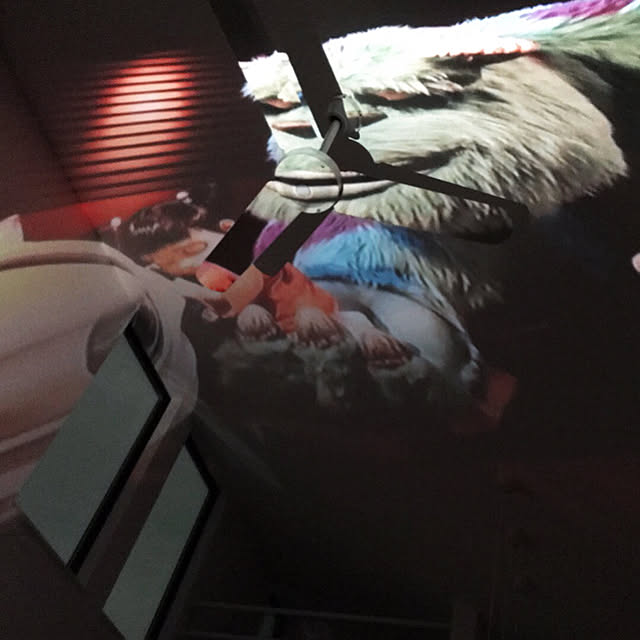 Akiさんの実例写真
