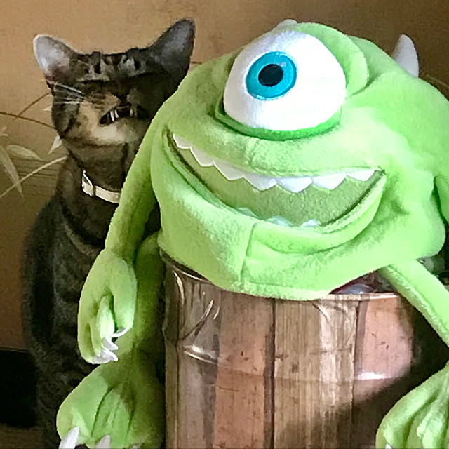 maruさんの実例写真