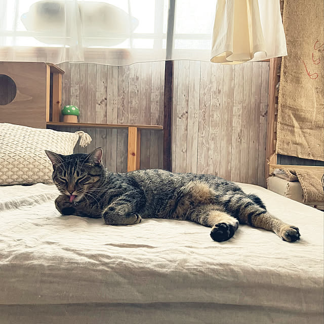 Mさんの実例写真
