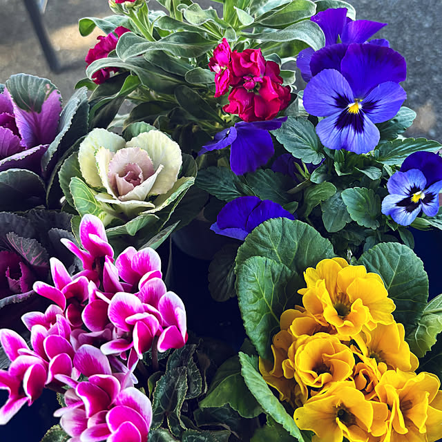 syutmmさんの部屋