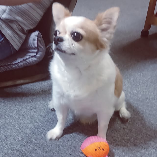 hiro.904さんの実例写真