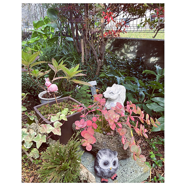 CoCo0617さんの部屋