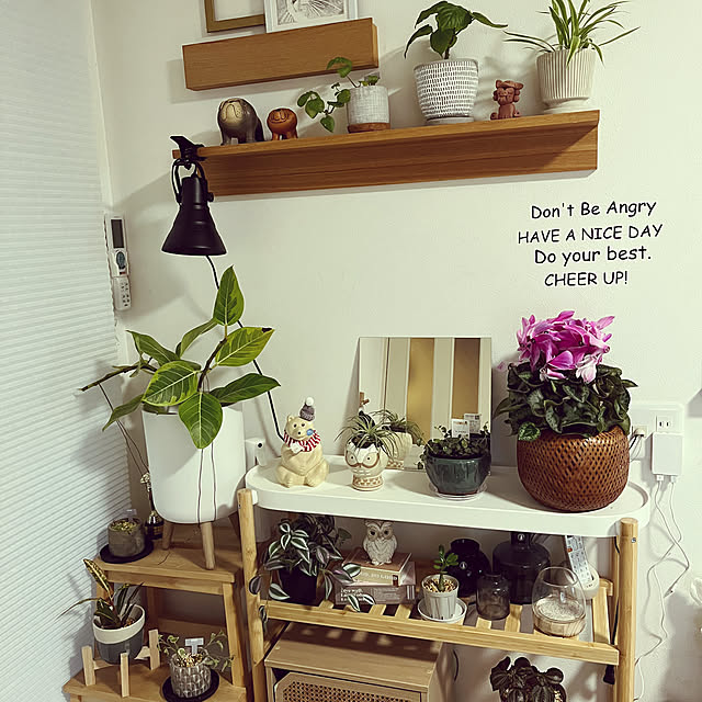 masamasaさんの部屋