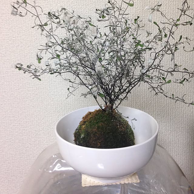 maki-iiiさんの実例写真