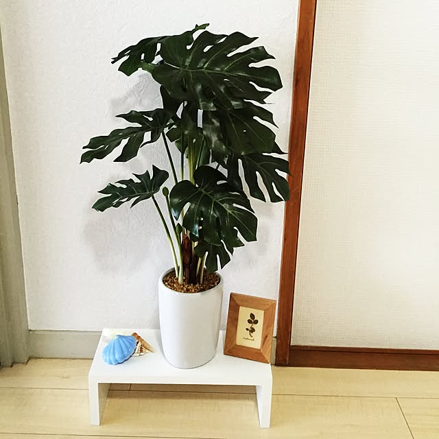 mikaさんの実例写真