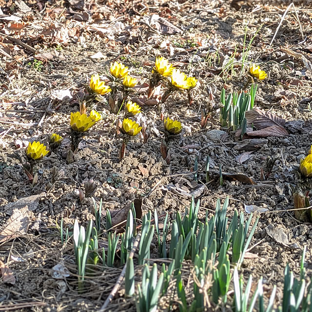 yukkin29さんの部屋