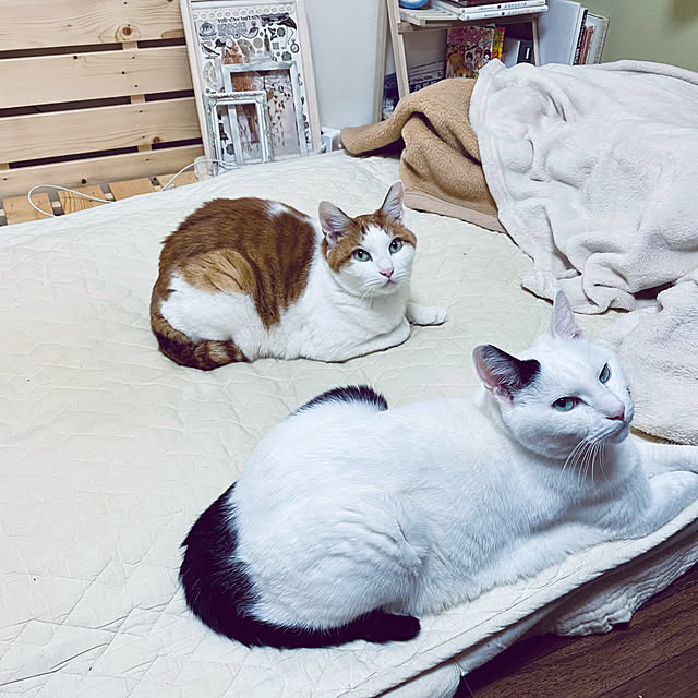 YUKAさんの実例写真