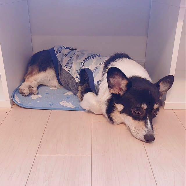 Ruiさんの実例写真
