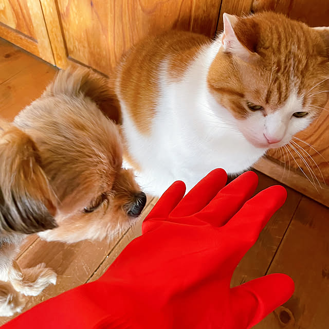 meさんの部屋