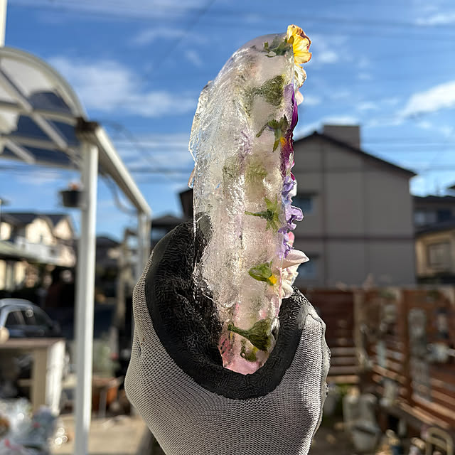 mayumiさんの部屋