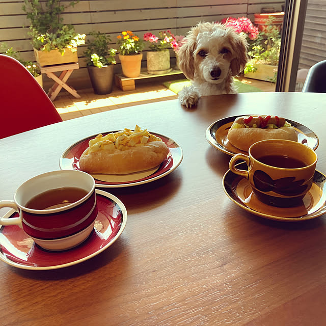 marukoさんの実例写真