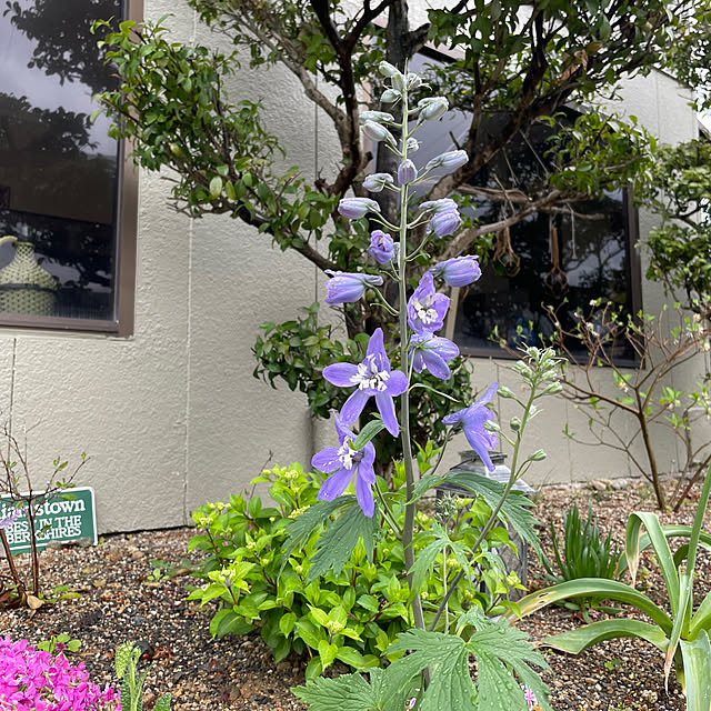 shin0719さんの部屋