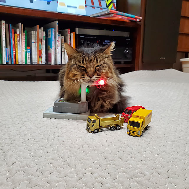 実例写真