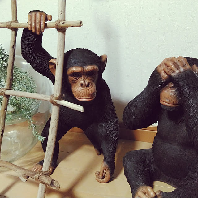 masatoyoさんの実例写真