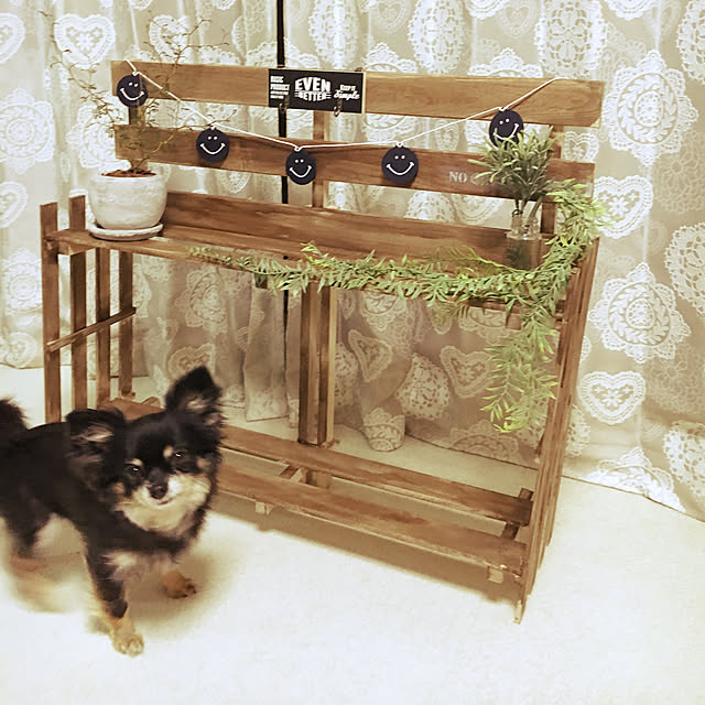 cocoさんの実例写真
