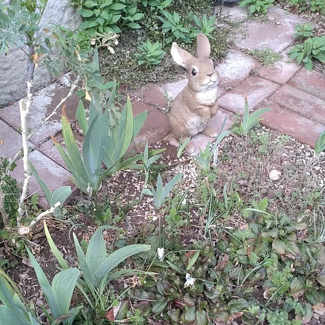 Hujikoさんの実例写真