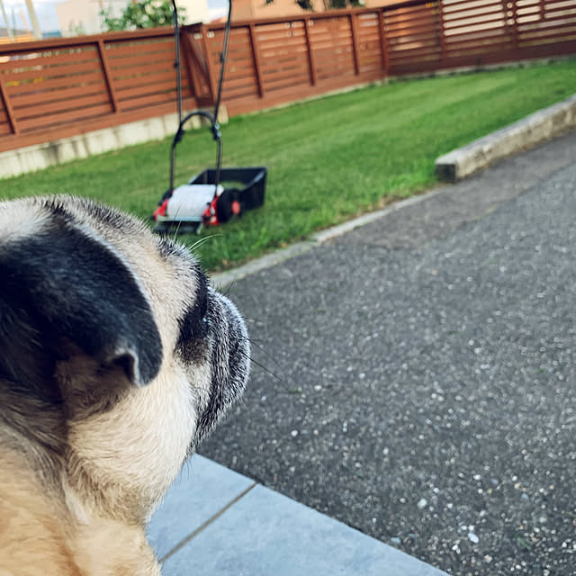 kellyさんの実例写真