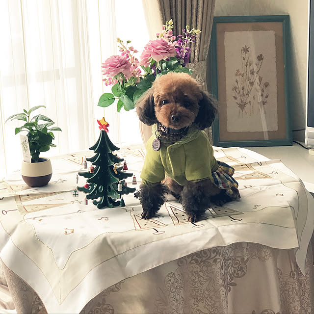 Tiaraさんの実例写真