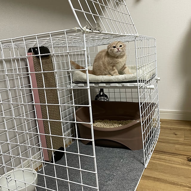 sさんの実例写真