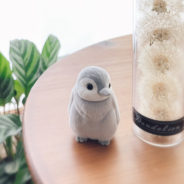 miechuraさんの部屋