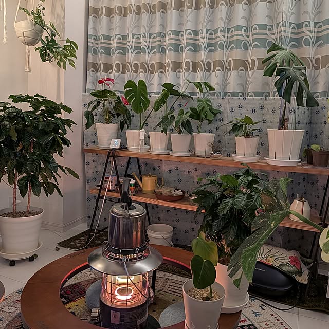 kolo92さんの実例写真