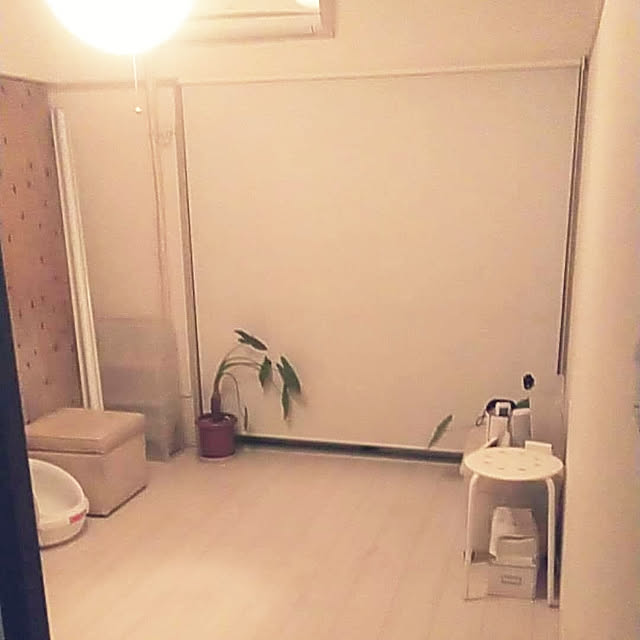 catloveさんの実例写真