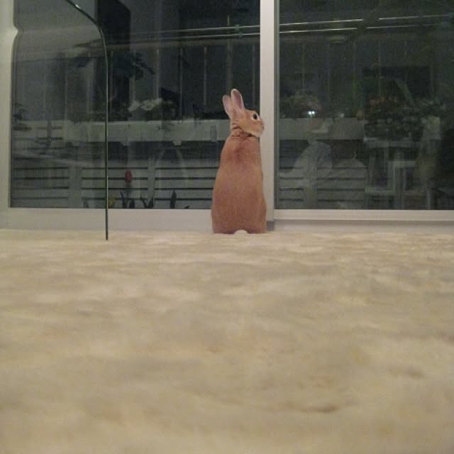 matsudonさんの実例写真