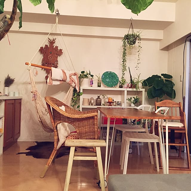 Mamiさんの実例写真