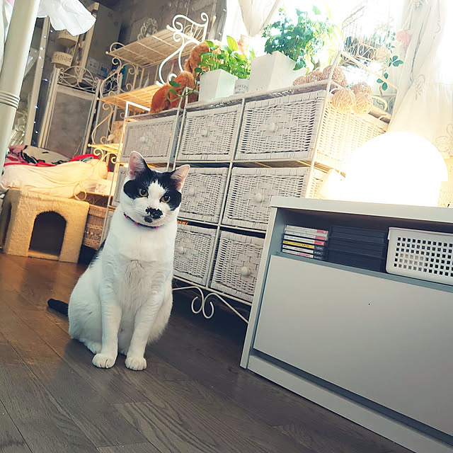 asuminさんの実例写真
