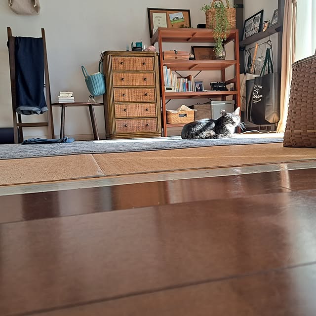 shinoさんの部屋