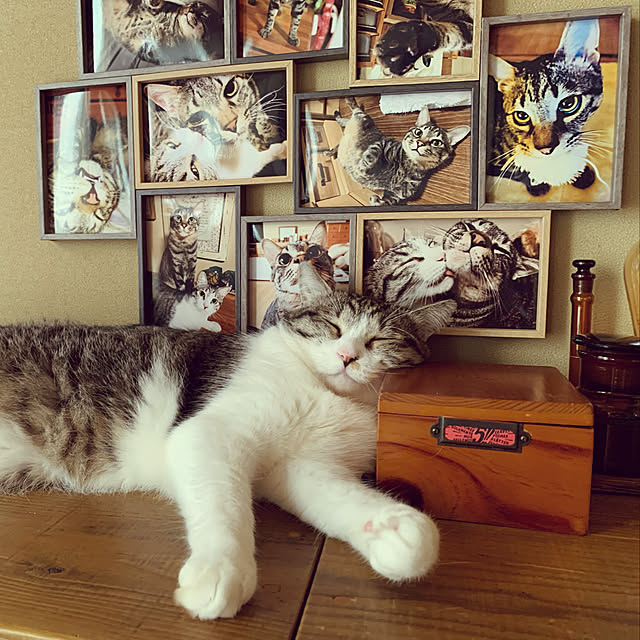 rioさんの実例写真