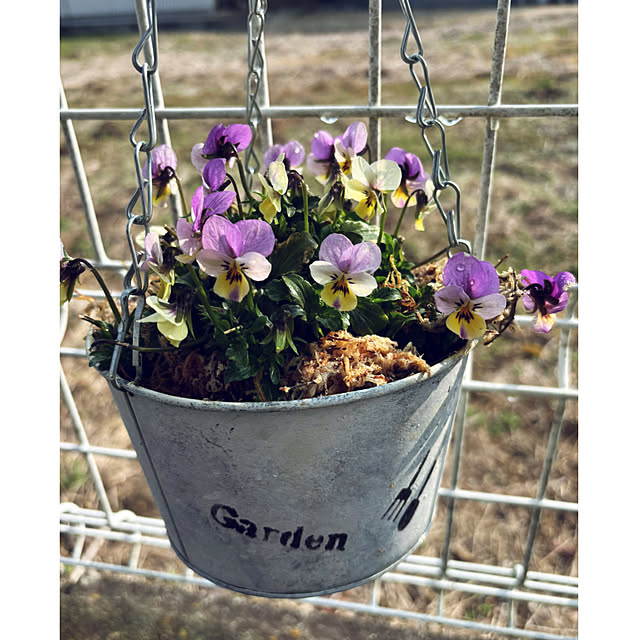 CoCo0617さんの部屋