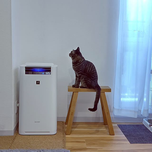 hihaさんの実例写真