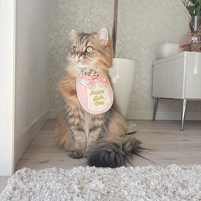 miyu39さんの実例写真