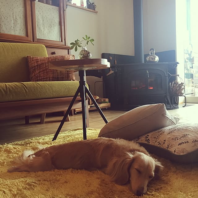 yukariさんの実例写真