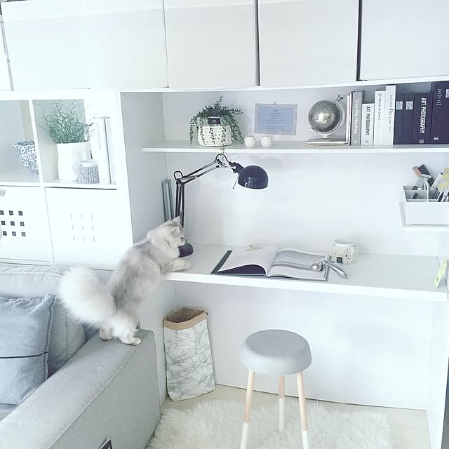 cocoさんの実例写真