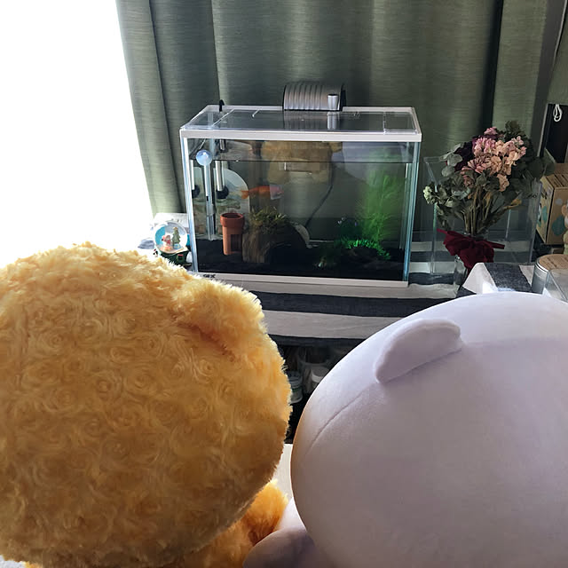 raitoさんの部屋