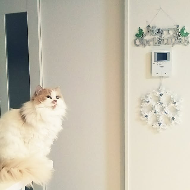 nonkoさんの実例写真