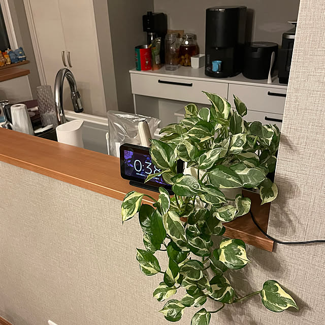 ikuzakさんの部屋