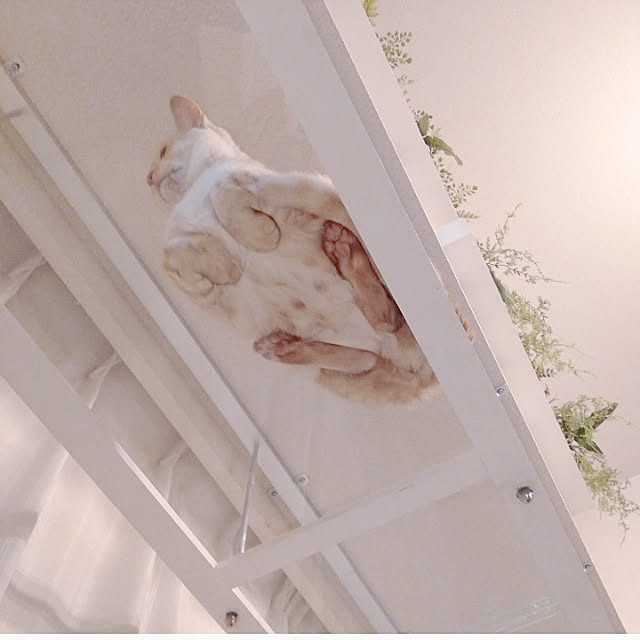 heart.emiemi57.whiteさんの実例写真