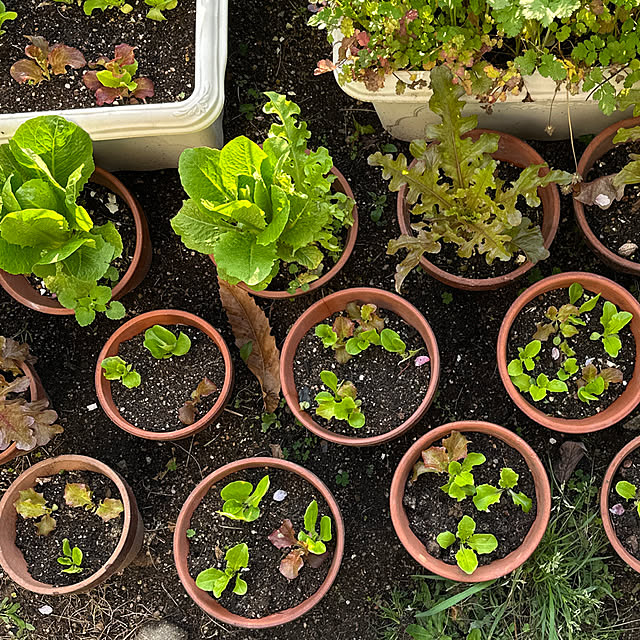 satoruさんの実例写真