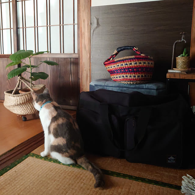 fukuさんの実例写真