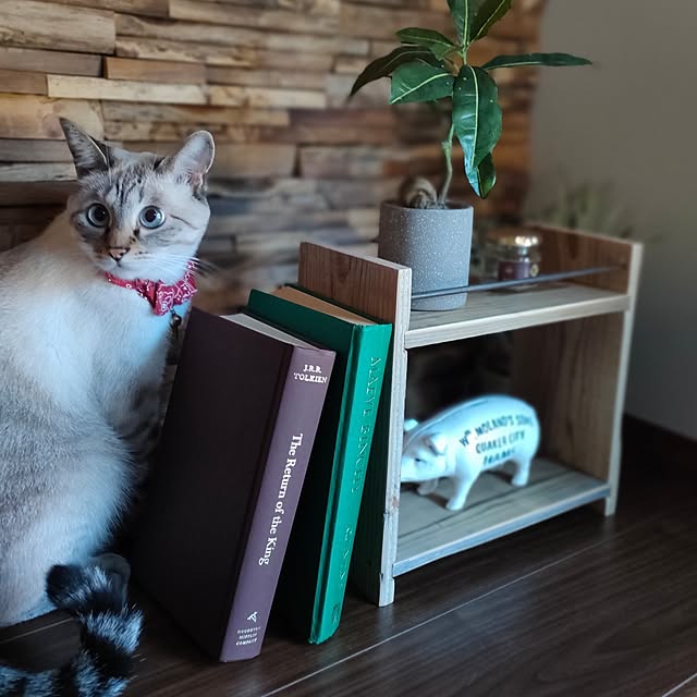 Atelier_tamakiさんの部屋