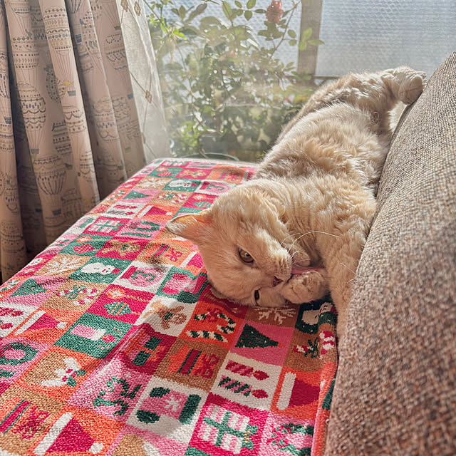 naokoさんの部屋