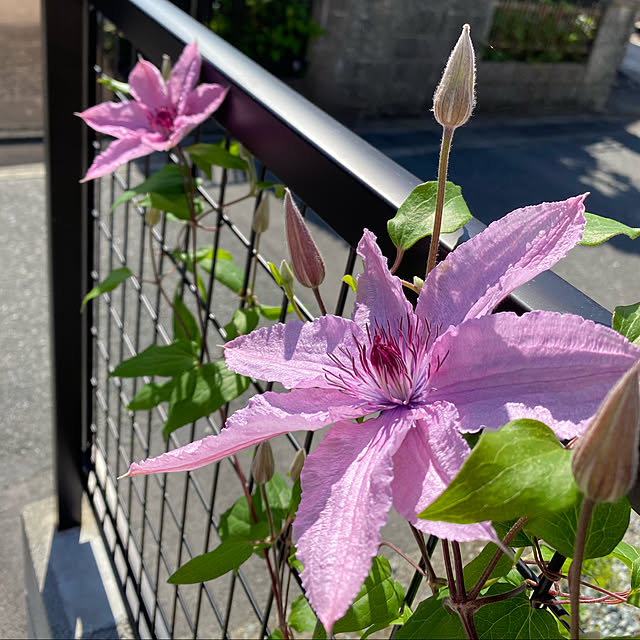 ojyoさんの実例写真