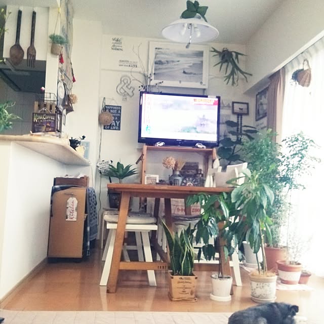 satominさんの実例写真